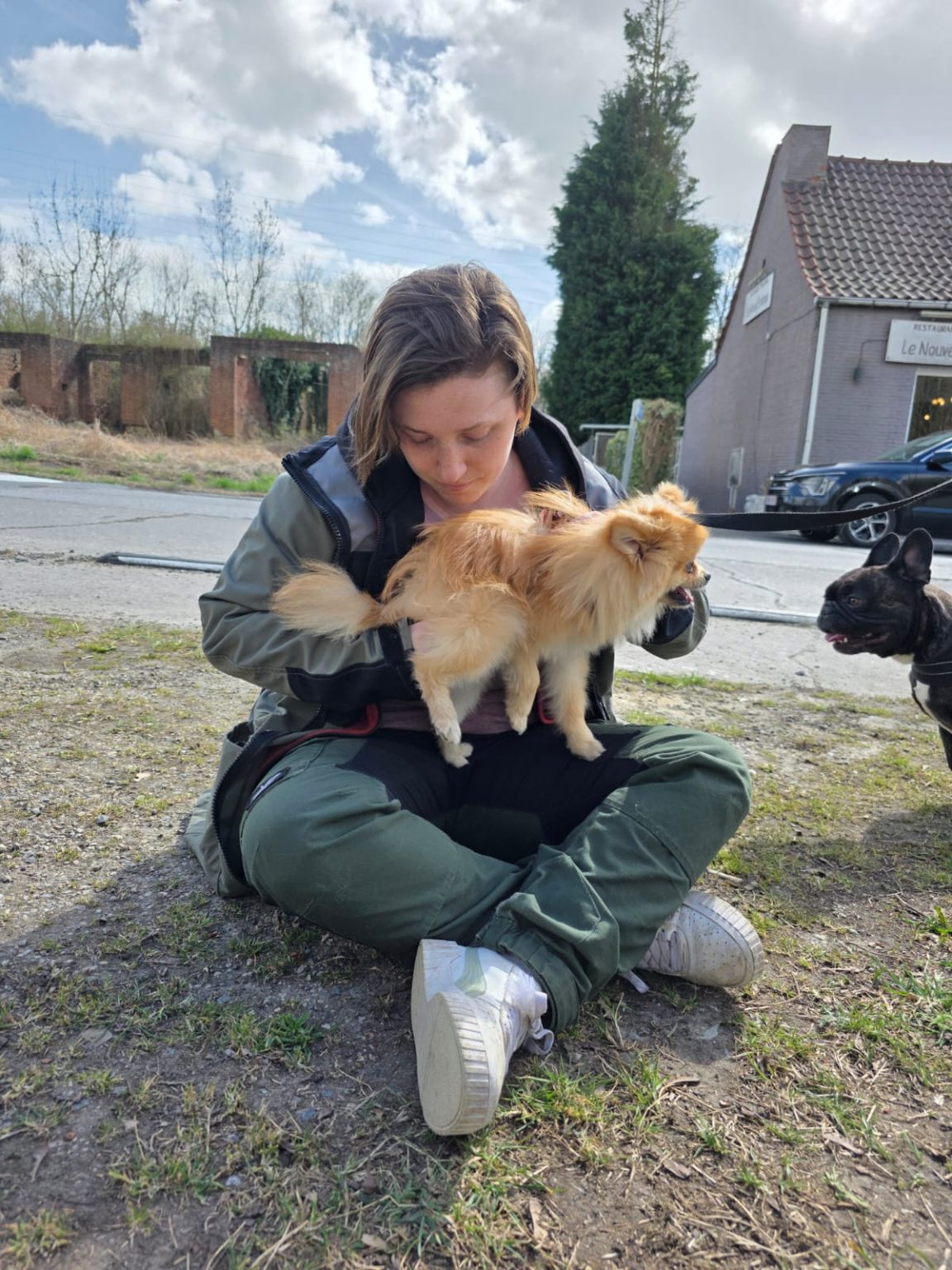 Chien détendu pendant un moment de bien-être