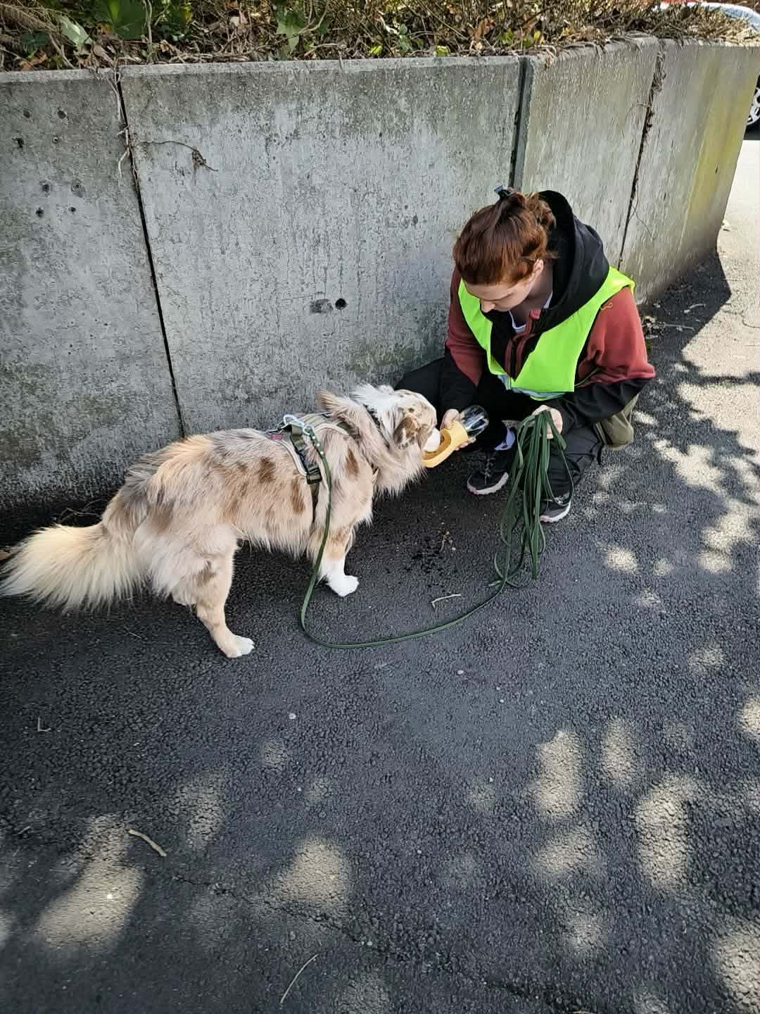 Précila avec des chiens sur le terrain