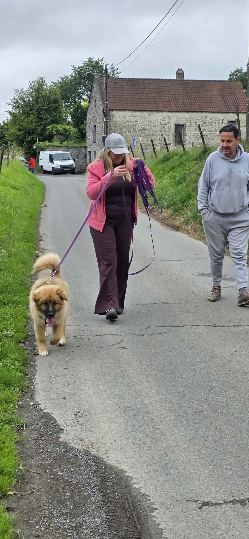 Exercice d’éducation entre un chien et son humain