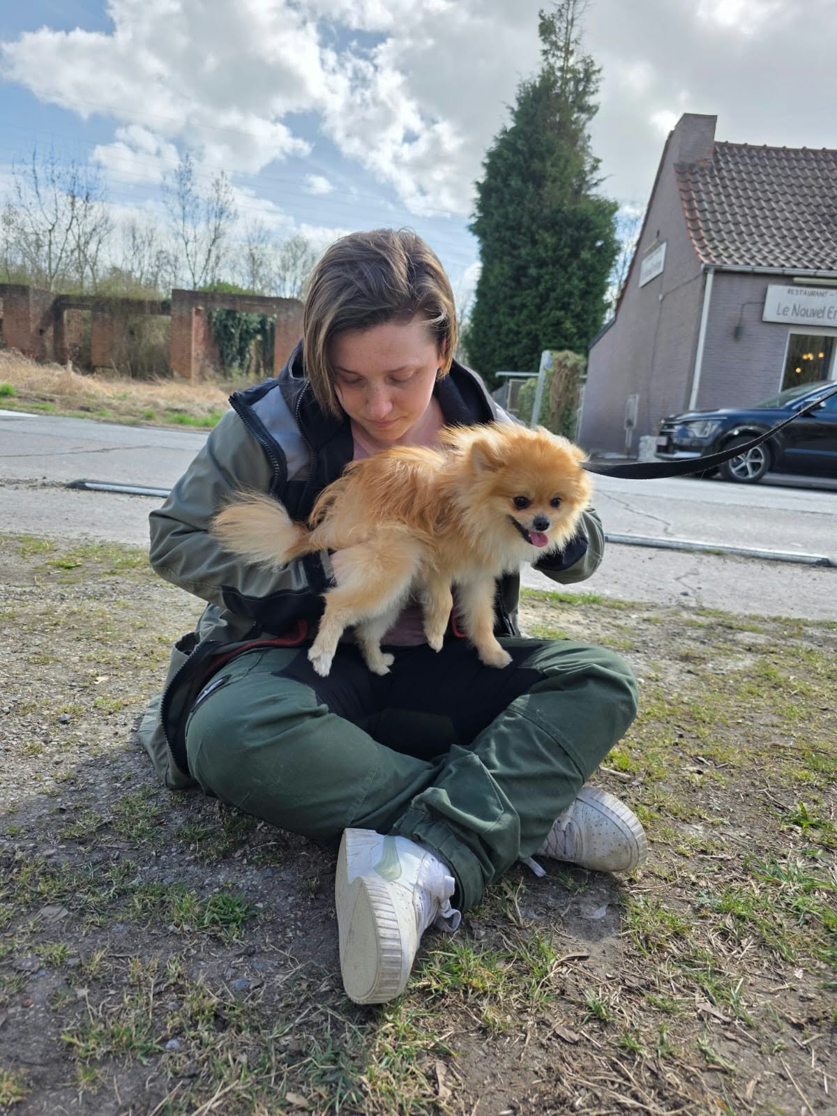metamorphose precila chiens terrain